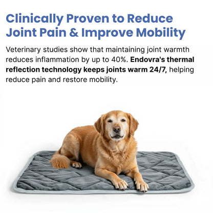 STOP JOINT HEAT LOSS – RESTORE MOBILITY & COMFORT!